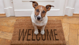 Au commencement, les présentations ... [version 2022]