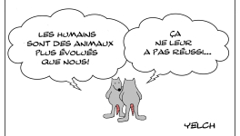 Humains évolués (?) 