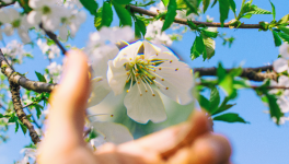 La PAL du mois d'Avril 2023