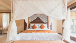 Baldaquin (04/05/2020)