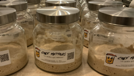 Prendre soin de son Levain