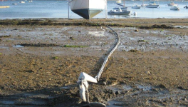  Les Océans s'en foutent du sexe du marin