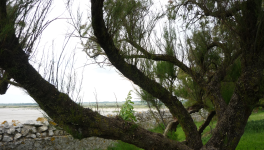 Voyage introspectif (2) : L'écoulement du temps