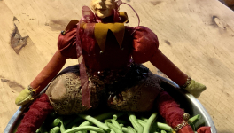 Le jardin du 29 juillet 