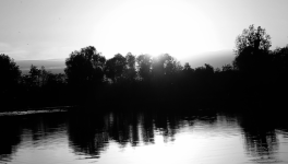 Ma culture du Bonheur