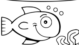 Et si j'étais poisson ?