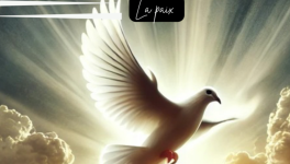 La paix ☮️