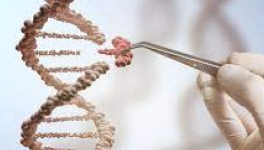 T...hérapie génique