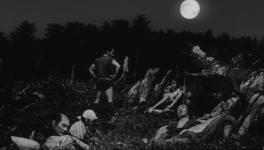 La Forteresse cachée de Akira Kurosawa