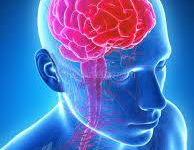 L'humour est un coquin prêt-à-tout pour arriver assez fin !