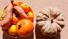 LA PIERRE ET LE SANG DES CÎTEAUX