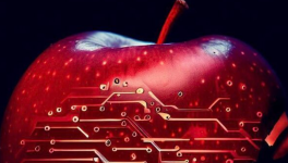 HEARING #Podcasts Cortex Noir