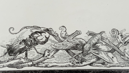 Le jardin du 25 Août 