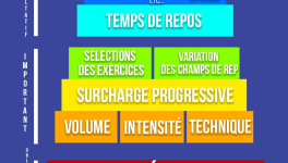 La pyramide de l'entraînement