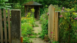 A Few Handy Summer agriculture Tips