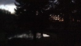 Le jardin du 15 Juin