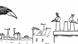 La rentrée des pigeons