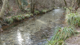 Première balade 2026 😁