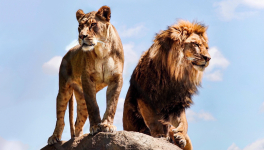 Des indices de reprise morale