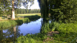 L'enfant de Rosporden - 5/6