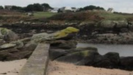 Quelques croassements de corbeaux plus tard,