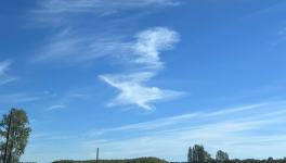 Jour n°10 #mystical #mystique