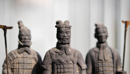 Le Complotiste, Le Covidiot et le Salopard