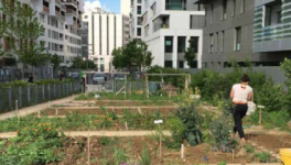 Les communs urbains : de quoi parle-t-on au juste ?