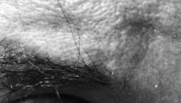 Holoruine ou holothurie, selon l’angle du désir