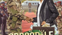 Le Crocodile du Botswanga