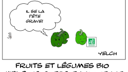 Légumes bio prout-prouts