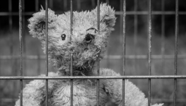 Lâcheté collective, réunion de la honte