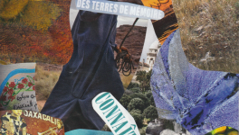 Connaître la pensée polaire