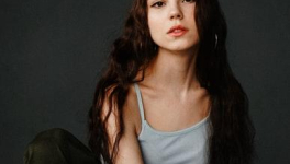 Consigne : Écrire un texte avec les mots suivants :Aristocrate, belge, carapace, détermination, électrique, fortification, galopante, hybride.