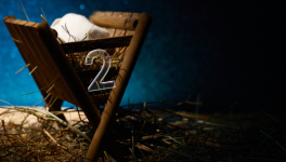 Jour 2 : La Nativité