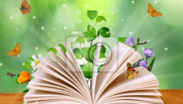 #68 Les Dragonéides : La Quête de l'Hermocrate: Tome 1 by David Belse