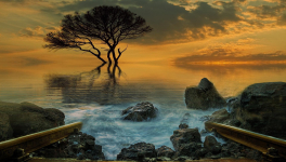 Tout est si différent...