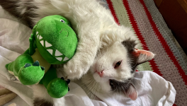 La Fin des Dinosaures - part.2