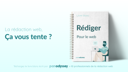 Le Livre Blanc de la rédaction web