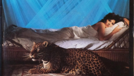 Olympia ou la symbolique du félidé