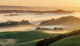 Sept compétences systémiques 