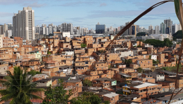 En immersion complète à Salvador