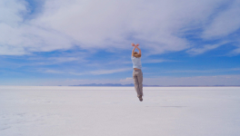 Désarmez les toboggans, vérifiez la porte opposée
