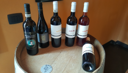 Dégustation au Domaine Poggio di Bortolone (Sicile)e