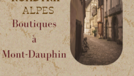 Chapitre 3 : Choix 2 🛍️ Suivre Prunille et Capucine en ville.