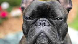 Sans amour... Photo by Samuel Charron on Unsplash