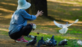 Sous les toits où leur corps niche (concours BoD)