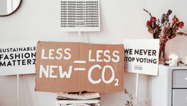 Amplifying Sustainability