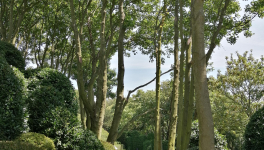 Rencontre avec Helena