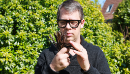 Vanille : Un Voyage Scientifique et Sensoriel au Cœur de l'Or Noir Aromatique